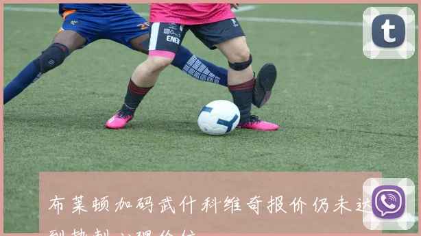 布莱顿加码武什科维奇报价仍未达到热刺心理价位